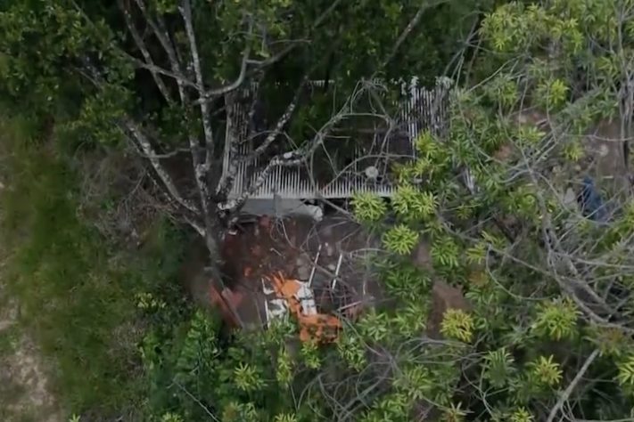 Dono de sítio em São Paulo perde 40 galinhas após ataque de onça – Reprodução/EPTV