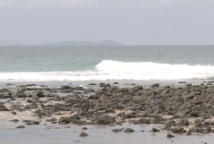 Sequência de ataques de tubarão em Sydney fazem autoridades interditarem praias – Reprodução