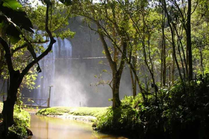 Dica importante: como há um limite diário de visitantes para preservar a área, recomenda-se a compra antecipada de ingressos.