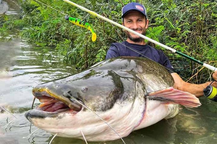 Curiosidades e cuidados com o bagre