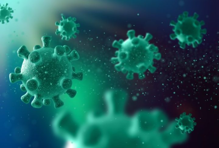 Esse patógeno altamente letal foi identificado pela primeira vez no fim dos anos 1990, <span dir=