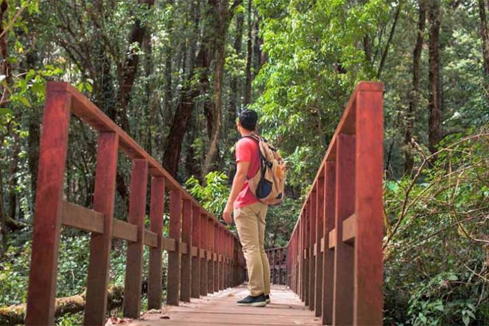 Fobias humanas curiosas