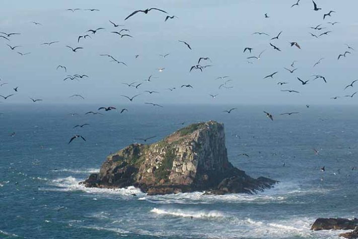 Ilhas Moleques do Sul, conjunto de três ilhas brasileiras, Santa Catarina, em Florianópolis - André Ganzarolli Martins/Wikimédia Commons