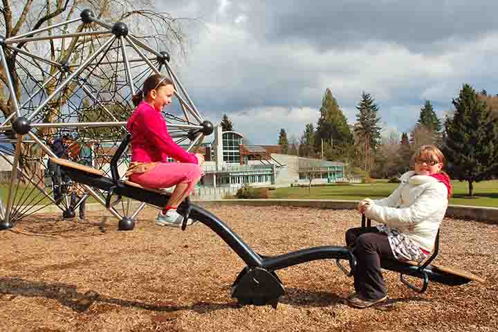 <p>Na Itália, o brinquedo é conhecido como altalena a bilico ou simplesmente bilico, enfatizando o aspecto de equilíbrio.<br />
Cada nome europeu carrega nuances linguísticas que descrevem o ato de oscilar.</p>
