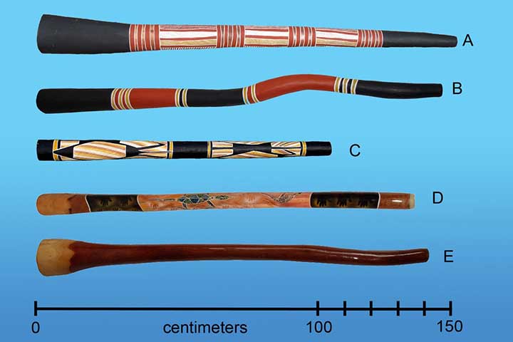 <p>Didgeridoo — Austrália<br />
Tubo de madeira tocado com técnica de respiração contínua, emitindo sons graves e vibrantes. É símbolo cultural dos povos aborígenes australianos.</p>
