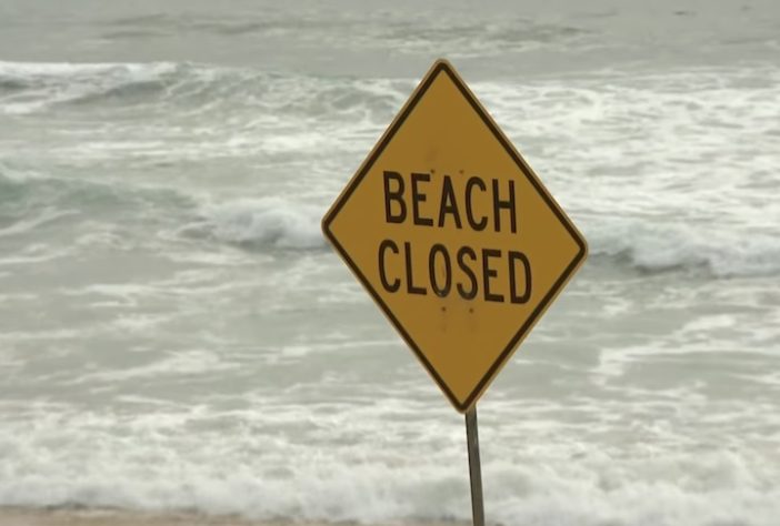 Sequência de ataques de tubarão em Sydney fazem autoridades interditarem praias – Reprodução