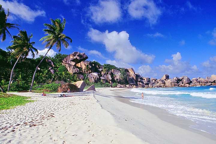 <p>Praias de areia branca são resultado de fatores geológicos, climáticos e biológicos. Elas não são comuns em todo o mundo, o que as torna especiais.</p>

