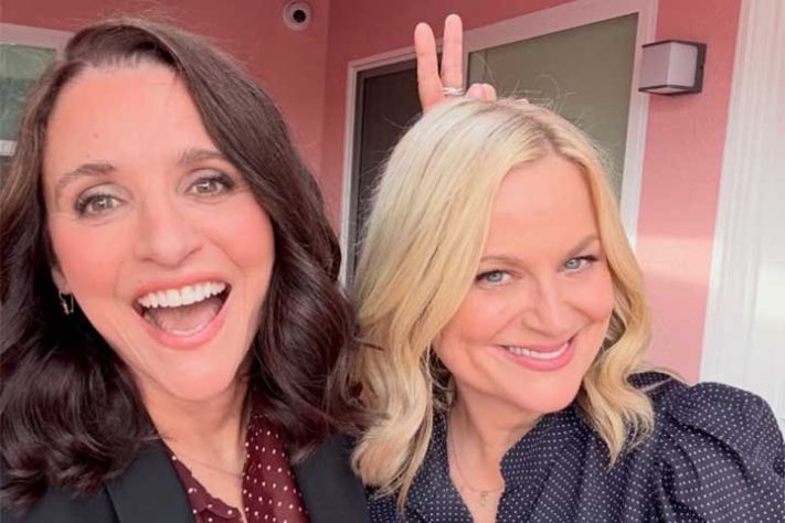 A trajetória da atriz Amy Poehler