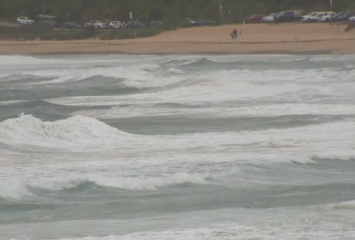 Sequência de ataques de tubarão em Sydney fazem autoridades interditarem praias – Reprodução