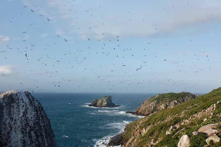 Ilhas Moleques do Sul, conjunto de três ilhas brasileiras, Santa Catarina, em Florianópolis - André Ganzarolli Martins/Wikimédia Commons
