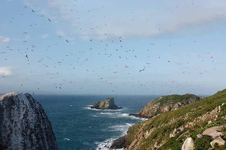 <p>O desembarque de turistas no arquipélago é estritamente proibido, sendo a área classificada como “zona intangível”.</p>
