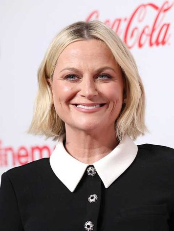 A trajetória da atriz Amy Poehler