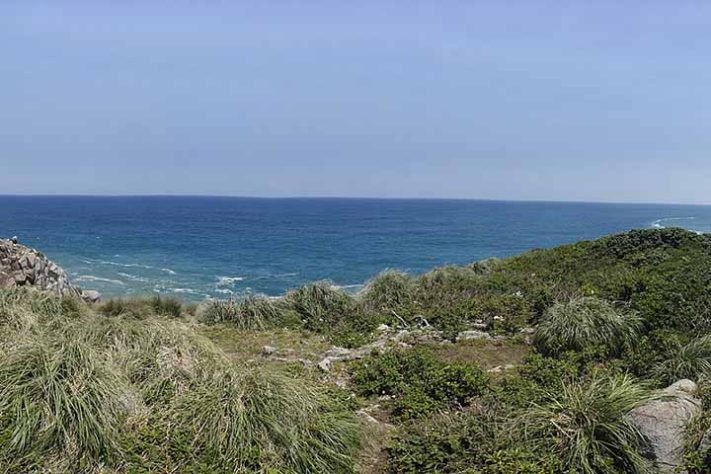 Ilhas Moleques do Sul, conjunto de três ilhas brasileiras, Santa Catarina, em Florianópolis - André Ganzarolli Martins/Wikimédia Commons