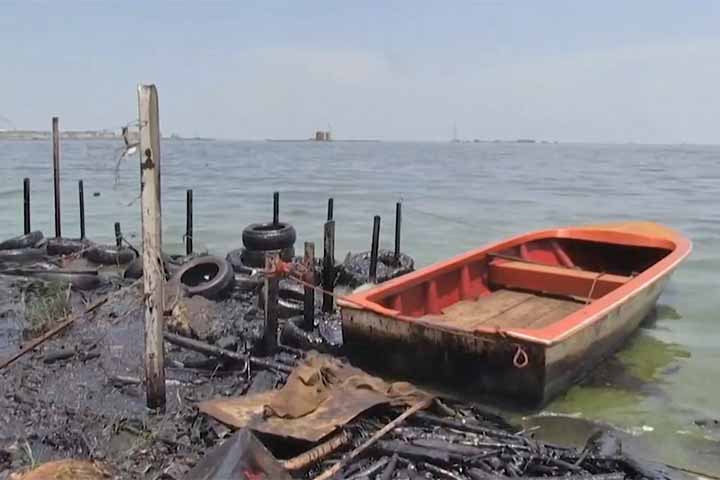 A degradação ecológica também afeta espécies nativas e o equilíbrio dos ecossistemas, ameaçando a biodiversidade que, historicamente, fez do Maracaibo um ambiente rico em vida aquática, incluindo várias espécies de peixes endêmicos e mamíferos aquáticos como o peixe-boi.
