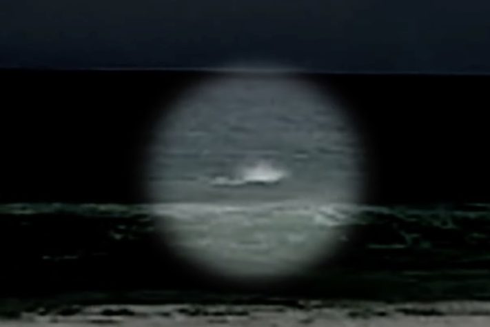 Sequência de ataques de tubarão em Sydney fazem autoridades interditarem praias – Reprodução