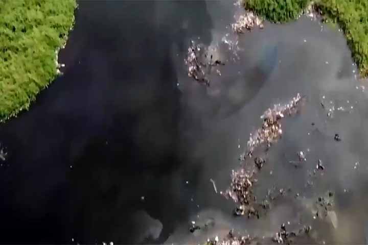 As consequências para as comunidades que dependem do lago são visíveis: pescadores relatam quedas drásticas nas capturas, danos a equipamentos e problemas de saúde ligados à contaminação das águas. 
