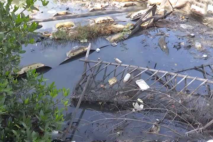 No entanto, o mesmo desenvolvimento petrolífero que trouxe prosperidade deixou um legado de degradação ambiental difícil de reverter. 
