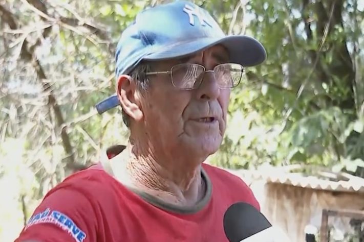 Dono de sítio em São Paulo perde 40 galinhas após ataque de onça – Reprodução/EPTV