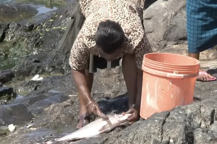 Ilha Migingo, situada entre o Quênia e Uganda, é um dos lugares mais densamente populosos do mundo – Reprodução/YouTube