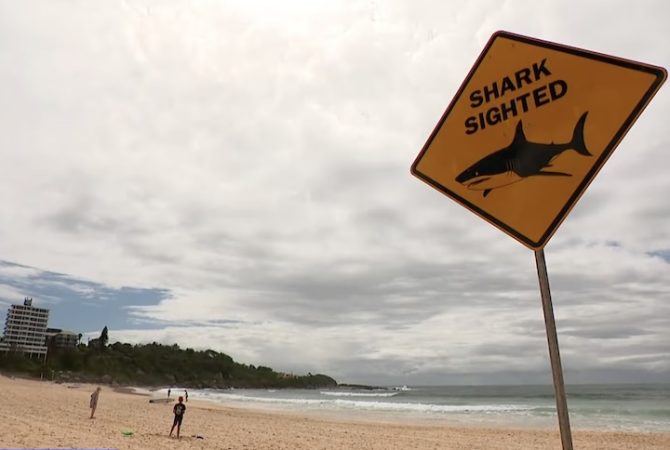 Após sucessivos ataques de tubarão, autoridades mandam fechar praias na Austrália