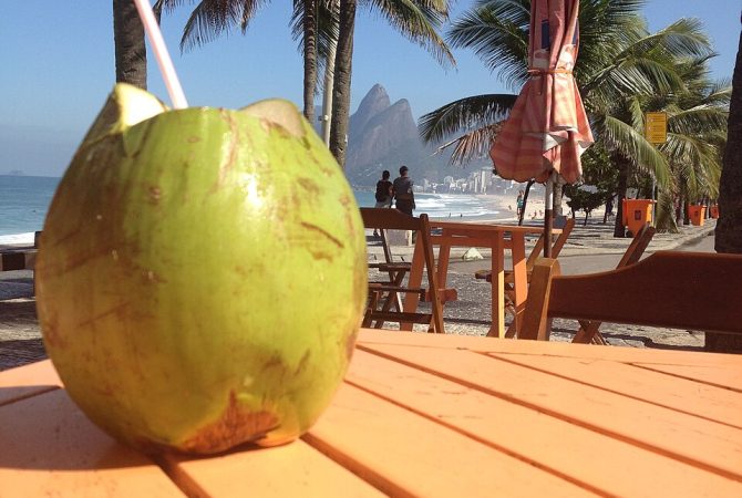 Água de coco: por que ela virou a bebida símbolo do calor