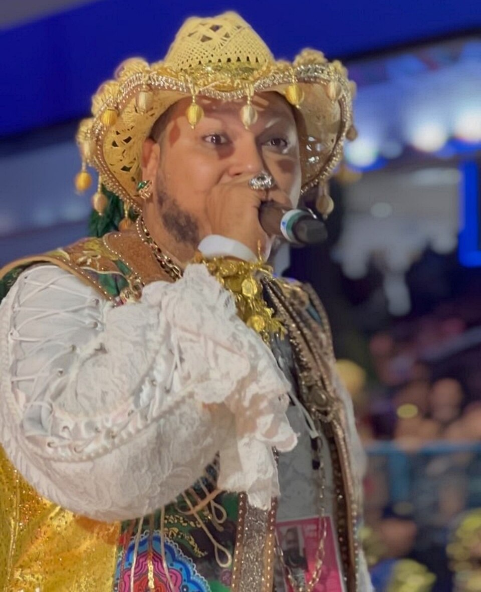 <p>Pitty de Menezes – Voz que vai conduzir o samba-enredo “Camaleônico”, da Imperatriz Leopoldinense, sobre o cantor Ney Matogrosso. Apesar de jovem, o intérprete tem é reconhecido por sua potência vocal e energia contagiante. Uma das estrelas da nova geração do Carnaval carioca.</p>
