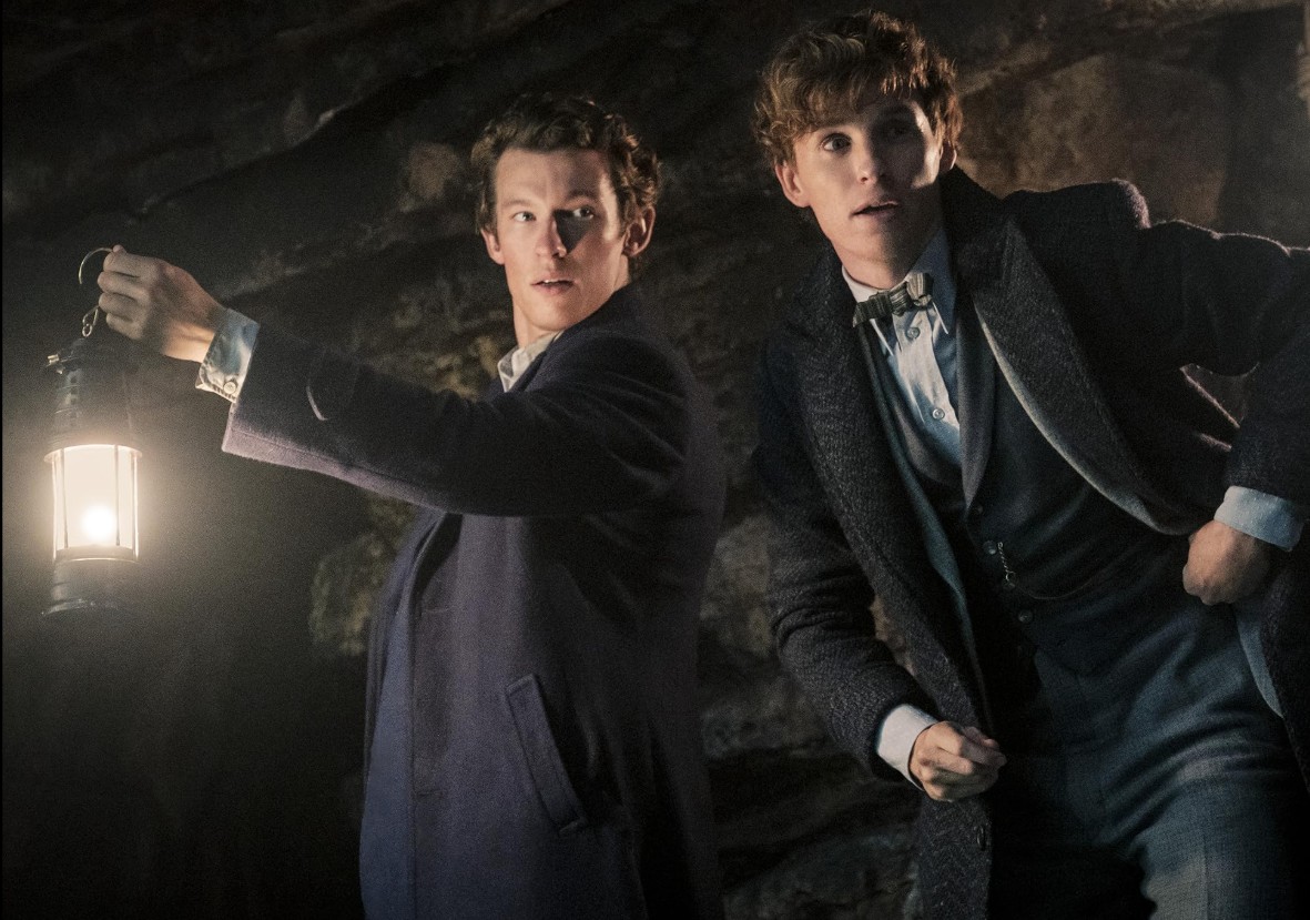 Em 2018, Turner passou a integrar a franquia “Animais Fantásticos”, do universo de “Harry Potter”, como Teseu Scamander, auror do Ministério da Magia e irmão do personagem interpretado por Eddie Redmayne. 
