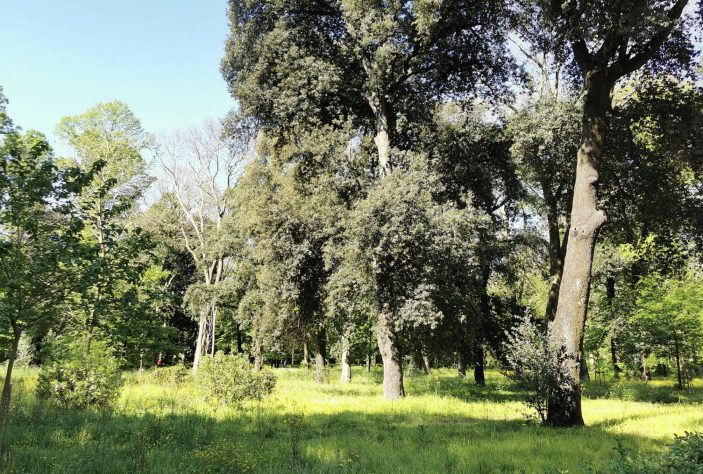 Parco delle Acacie, Roma – Reprodução