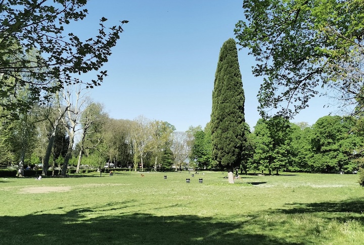 <p>Embora não seja um parque turístico ou monumental, ele cumpre um papel importante na qualidade de vida do bairro.</p>
