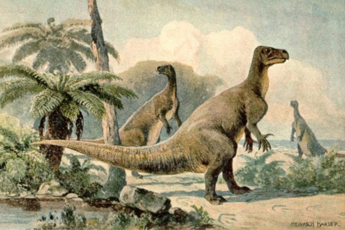 Dinossauros, iguanodontídeos – Domínio Público