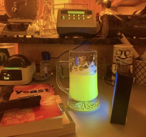 Cientista cria cerveja que funciona como vacina e gera debate ético - Reprodução/Chris Buck