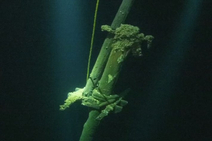 Descoberta a cerca de 100 metros de profundidade no Lago Ontário, embarcação de madeira surpreende pelo estado de conservação, e pode ter sido construída entre 1800 e 1850 – Reprodução/jefflindsay.ca