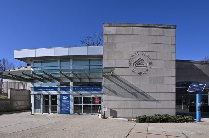 Institutos Nacionais de Saúde (NIH) dos Estados Unidos - Wikimedia Commons/G. Edward Johnson