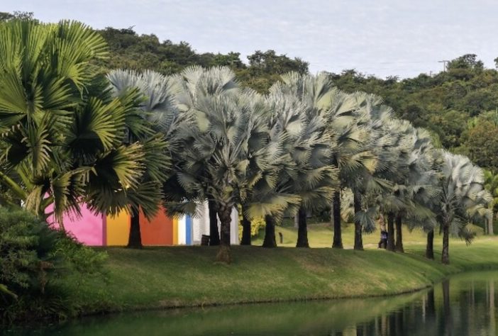Instituto Inhotim, Minas Gerais - Pedro Vilela/Mtur