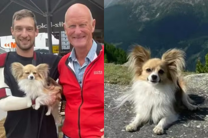 <p>“Assim que os socorristas retiraram seu dono, o cachorrinho abanava o rabo, feliz por ver Jan de volta à superfície”, relatou Bruno Kalbermatten, da empresa de resgate aéreo Air Zermatt.</p>
