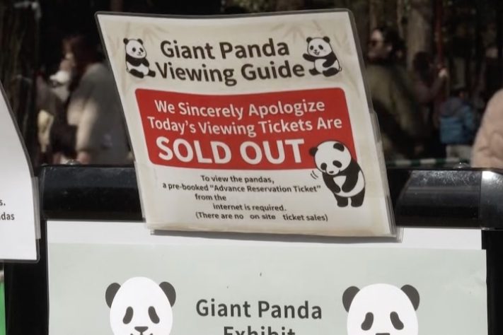 Pandas são devolvidos à China – Reprodução/France 24 English