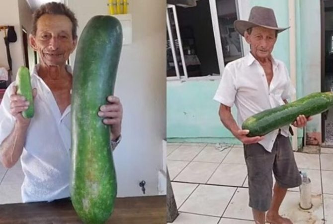 Pepino gigante chama atenção em cidade do interior catarinense