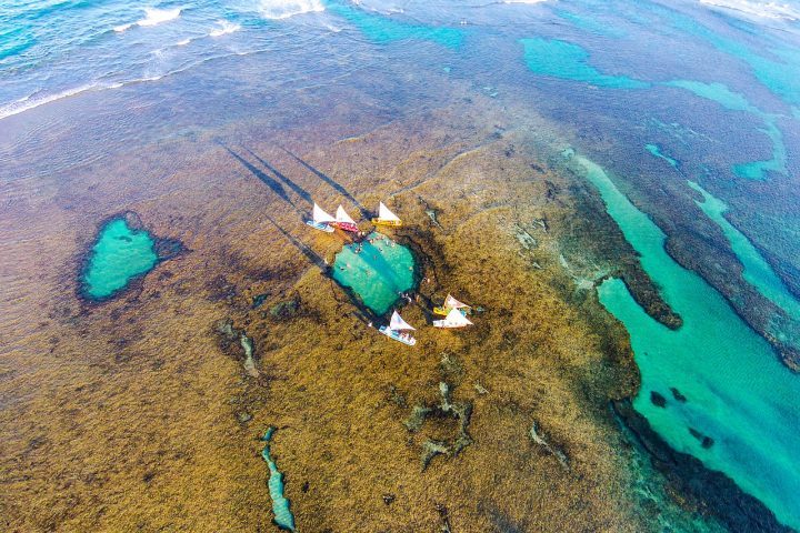 <p>Com temperatura média em torno de 26 °C, Porto de Galinhas pode ser visitada o ano todo.</p>
