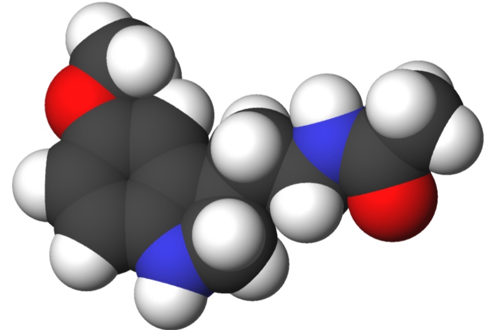 Com isso, ocorre uma redução na liberação de melatonina, hormônio essencial para o sono reparador.O corpo entra em descanso, mas não atinge os estágios mais profundos com facilidade.