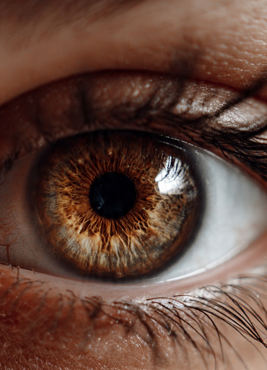 O piscar também tem papel na oxigenação da córnea. Como ela não tem vasos sanguíneos, depende da lágrima para receber oxigênio.