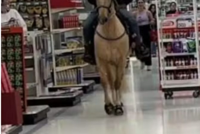 Homem vai às compras montado em cavalo e causa indignação
