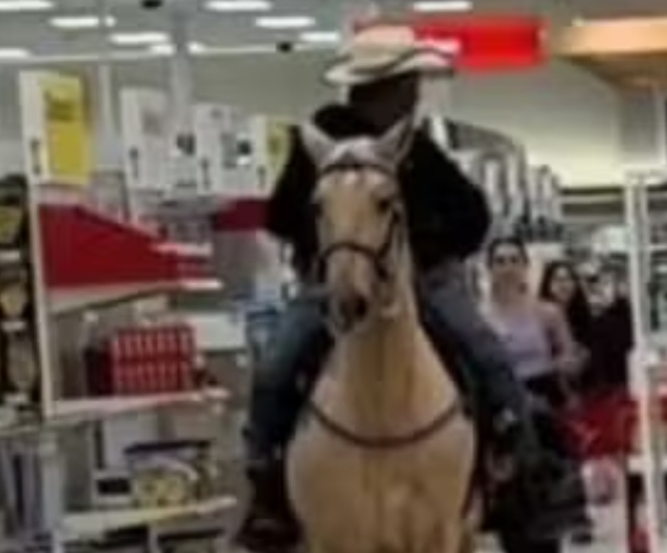 <p>A atitude gerou indignação entre internautas, que criticaram a falta de respeito com o espaço e com os funcionários do local. Muitos questionaram quem ficaria responsável pela limpeza do “rastro” deixado pelo animal e apontaram o episódio como desnecessário e inadequado.</p>
