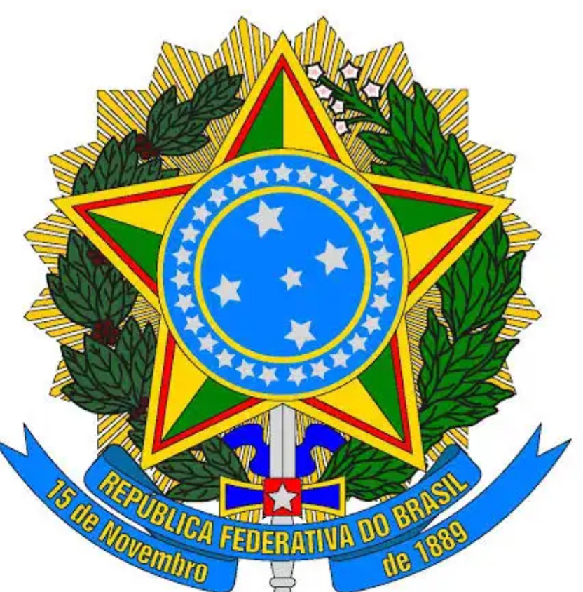 <p>Delfim Moreira assumiu a Presidência em um momento de incerteza, pois o país se recuperava da devastadora gripe espanhola e enfrentava um quadro político indefinido. Sua posse foi marcada por caráter interino, até nova eleição.</p>
