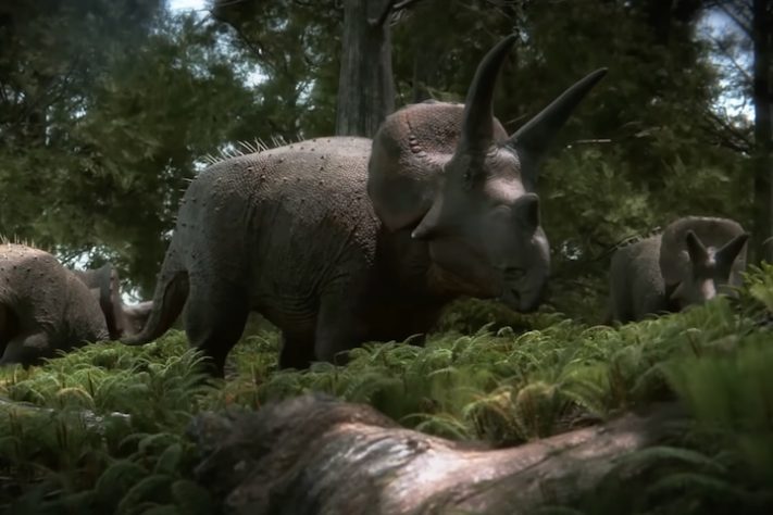 Triceratops, dinossauro – Reprodução/YouTube