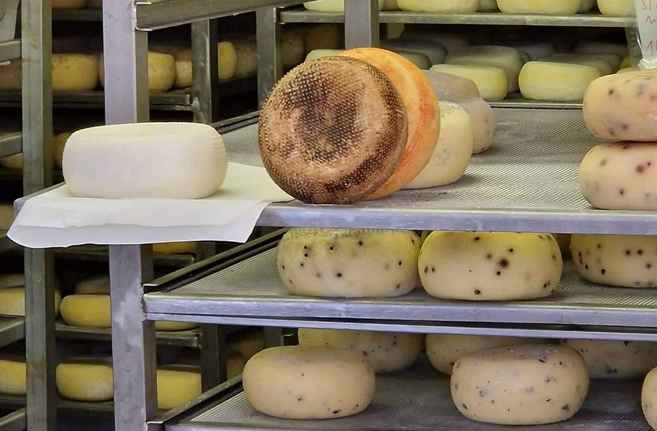 <p>A culinária local valoriza ingredientes simples, mas autênticos, como massas artesanais e carnes de caça. O azeite extravirgem da região é altamente apreciado. Além disso, os queijos pecorino e os vinhos completam a experiência gastronômica.</p>
