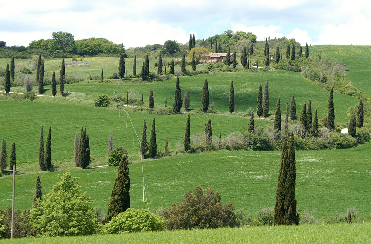 <p>As colinas suaves, pontuadas por ciprestes e campos dourados, compõem a imagem icônica do local, que inspirou artistas renascentistas e fotógrafos contemporâneos. Lá, o ritmo das estações muda constantemente o cenário, e cada visita revela nova paleta de cores e sensações.</p>
