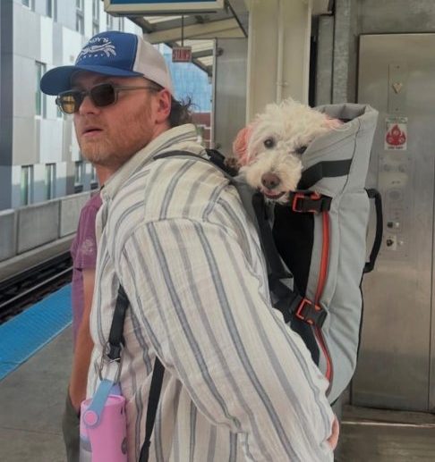 Com mais de 75 milhões de visualizações acumuladas, Bryan também é o criador da marca Little Chonk, especializada em mochilas para pets, diretamente inspirada na convivência com Maxine.