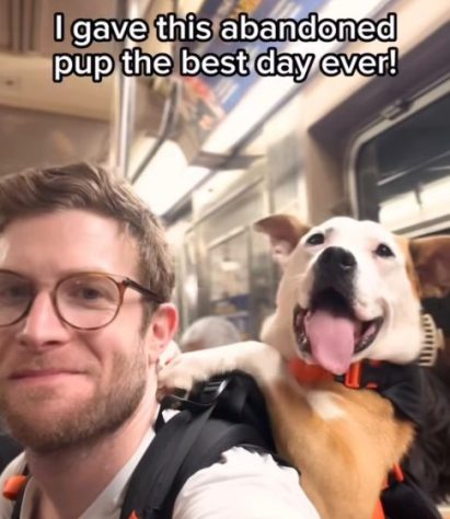 Bryan Reisberg, influenciador passeia com cães abandonados em mochilas pelas ruas de Nova York e 