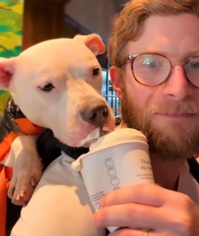 Bryan Reisberg, influenciador passeia com cães abandonados em mochilas pelas ruas de Nova York e 