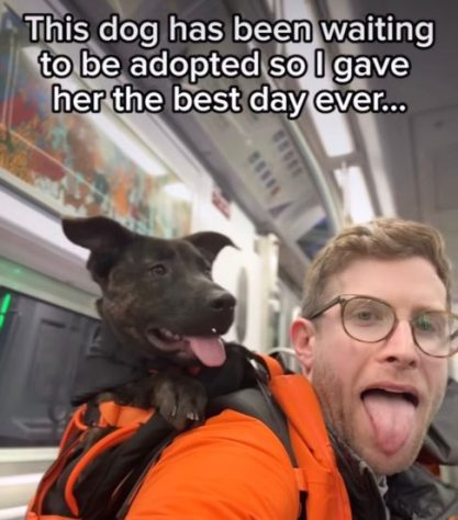 Bryan Reisberg, influenciador passeia com cães abandonados em mochilas pelas ruas de Nova York e 